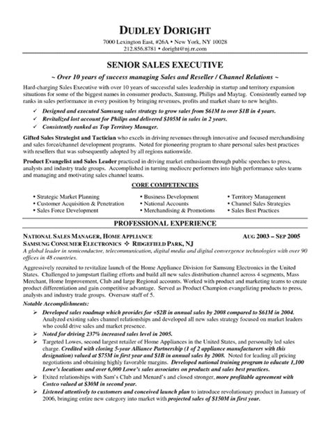 Professional Resume Format For Sales And Marketing Resume Template