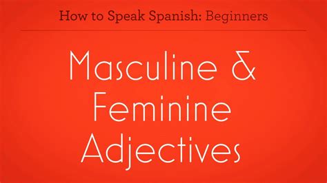 How To Use Masculine Feminine Adjectives In Spanish Howcast