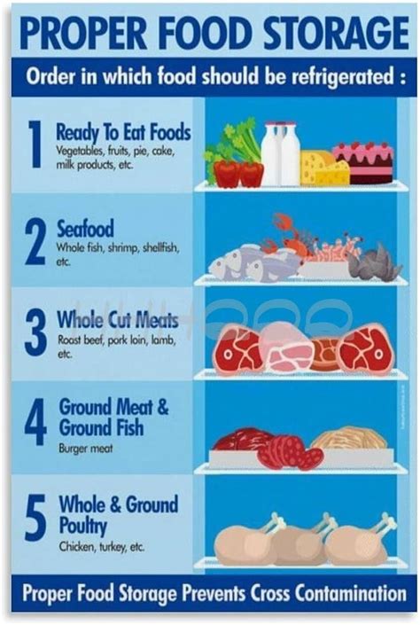 Proper Food Storage Chart Poster,Refrigerator Food Storage Guide Poster