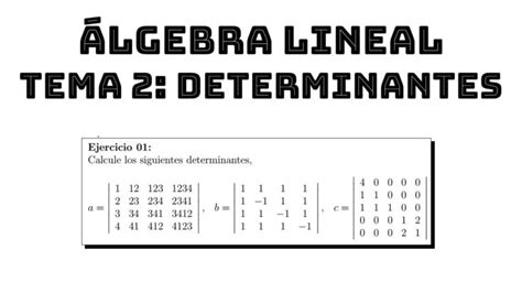 Matrices En Algebra Lineal Una Guía Práctica De Definición Y Aplicación Cfn