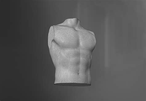 Male Torso 3D Model 3D Model CGTrader