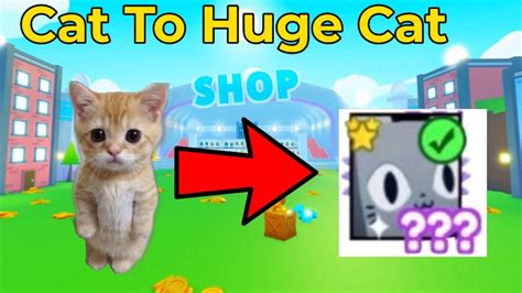 Cat To Huge Cat Pet Simulator X Ep 1 YouTube