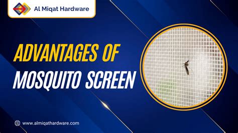 Unveiling the Benefits: Advantages of Mosquito Screens with Stainless ...