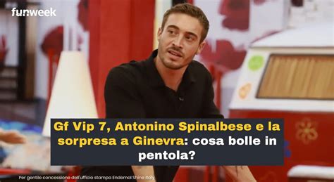 Gf Vip Antonino Spinalbese E La Sorpresa A Ginevra Lamborghini Cosa