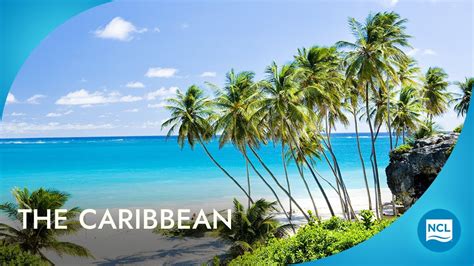 Best Caribbean Cruises with Norwegian Cruise Line - Ocean Bliss Journeys