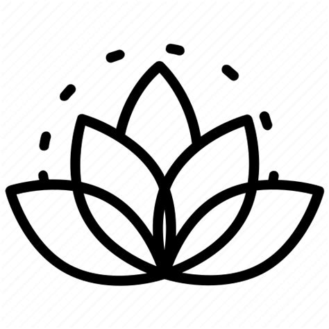 Lotus Flower Symbolism Buddhism Best Flower Site