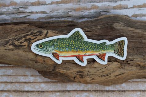 Brook Trout Sticker Fish Sticker Fish Decal Trout Decal Etsy