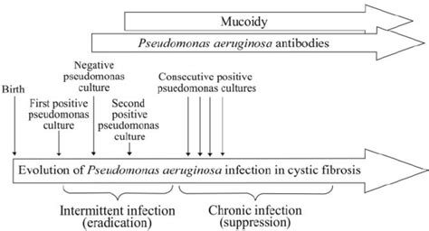 A Model Of Progression Of Pseudomonas Infection From Intermittent To