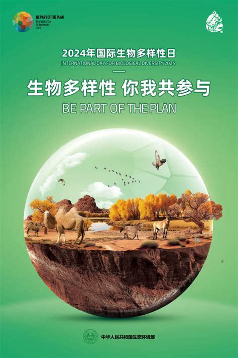 生态环境部发布2024年国际生物多样性日宣传海报 运城市生态环境局网站