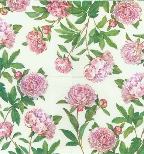 Decoupage Napkins Peonies Peony Napkins Lunch Napkins Etsy