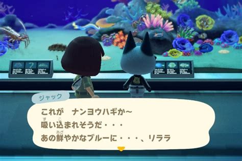 【あつ森】博物館の専用セリフ キザ系8魚 せと島 好きなこと倉庫