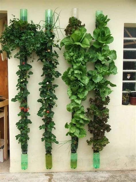 13 plastic bottle vertical garden ideas – Artofit