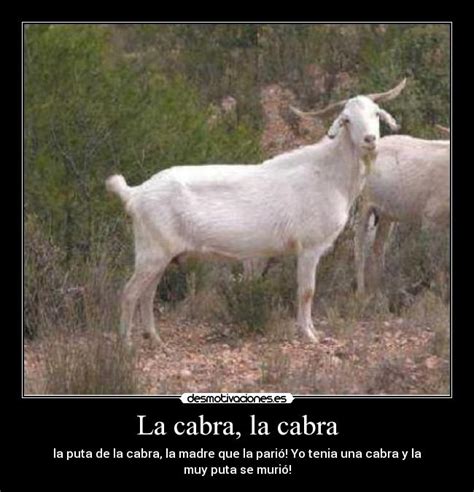 la cabra la cabra desmotivaciones