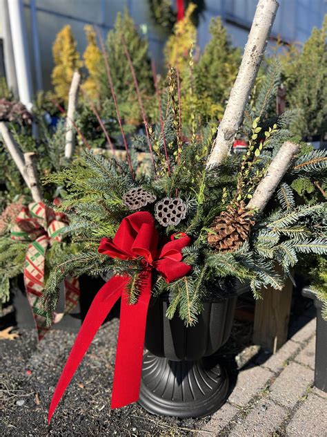 Holiday Porch Pots (includes black urn) | Kennedy's Country Gardens