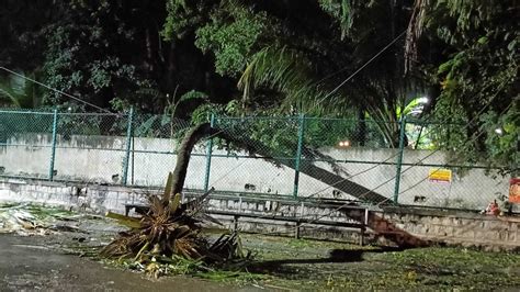 Karnataka Heavy Rains Wreak Havoc In Bengaluru See Photos