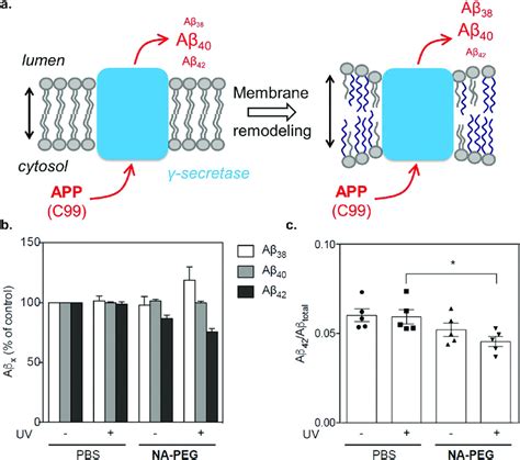 Modulation of γ secretase activity through light triggered alteration