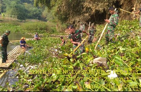 Sektor Satgas Citarum Lakukan Pembersihan Eceng Gondok Di Aliran