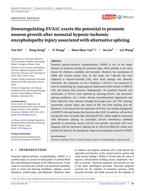 Downregulating Eva C Exerts The Potential To Promote Neuron Growth