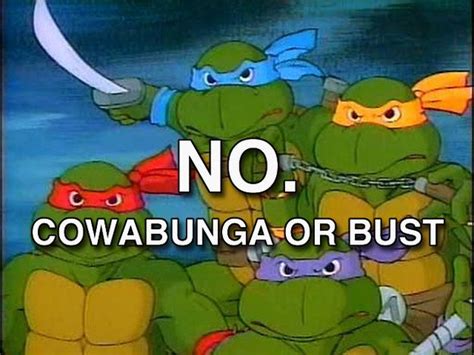 I, for one, am livid: Nickelodeon Scraps TMNT "Cowabunga" Catchphrase ...