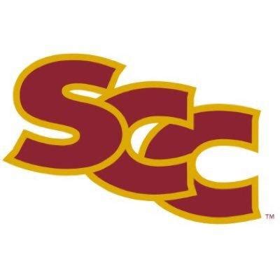 Sacramento City College Panthers | MascotDB.com