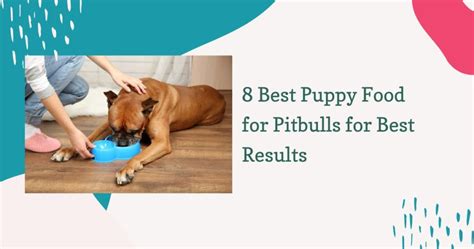 8 Best Puppy Food for Pitbulls for Best Results - Groomers' Land