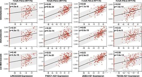 8胰腺癌预后免疫相关lncrna的鉴定 知乎