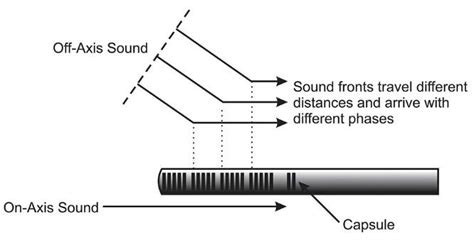 What Is A Shotgun Mic Everything You Want To Know Hollyland