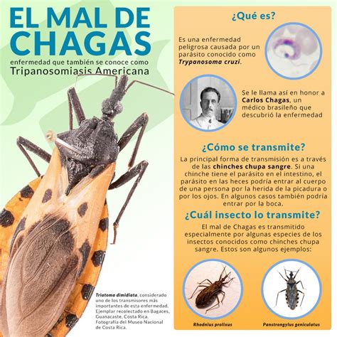 Mal De Chagas Instituto Centroamericano De Extensión De La Cultura