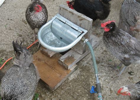 Save Your Back and Your Money: Make an Automatic Waterer for Your Free ...