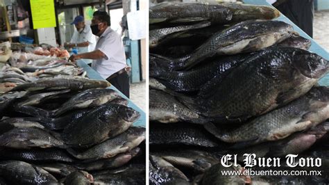 Precio del pescado aumentó 100 El Buen Tono