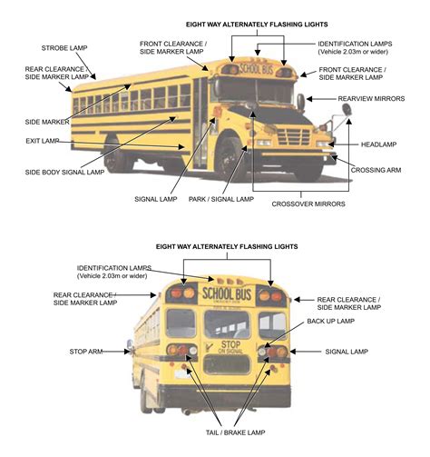 School Bus Dimensions Diagram