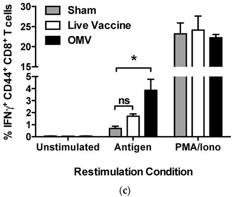 Vaccines Free Full Text A Burkholderia Pseudomallei Outer Membrane Vesicle Vaccine Provides