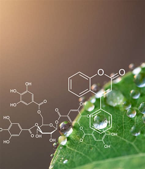 Phytochemistry | SEPPIC