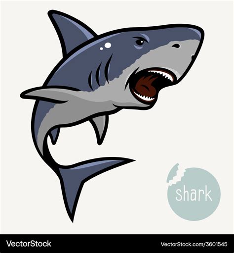 Angry Shark Royalty Free Vector Image Vectorstock