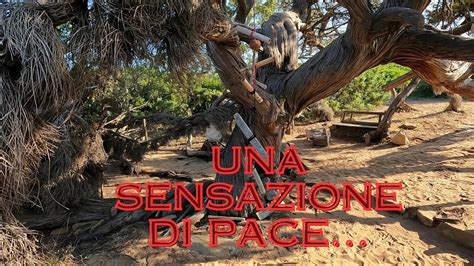 La Casa Del Poeta Sardegna Vanlife Youtube