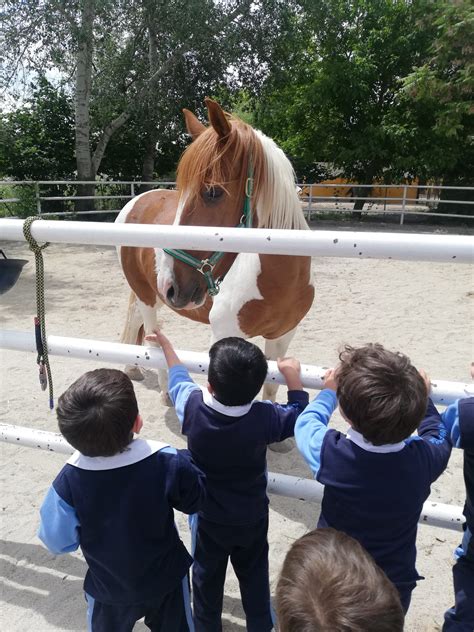 VISITA A LA GRANJA ESCUELA EL JARAMA Colegio Liceo Sorolla