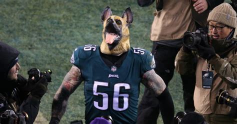 Eagles Fans Are Buying Up All of These Nightmarish Dog Masks - Creepy ...