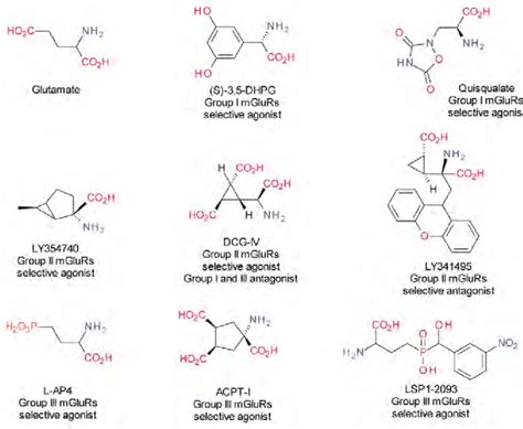 Highlighting The Structural Diversity Of Agonist And Antagonists Of