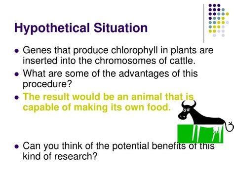 PPT - Hypothetical Situation PowerPoint Presentation, free download ...