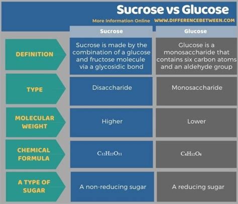 Difference Between Sucrose and Glucose | Compare the Difference Between Similar Terms