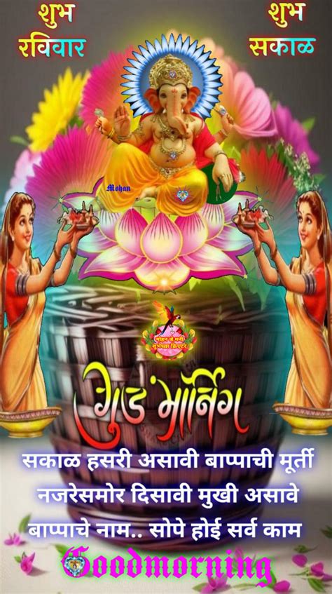 🌼 शुभ रविवार 🌼🌹 • Sharechat Photos And Videos