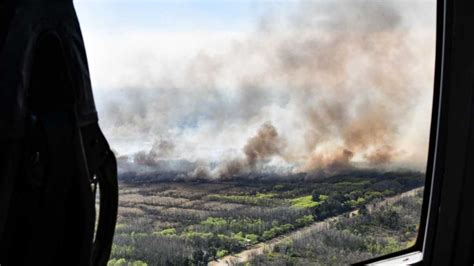 Incendios En El Delta Del Paraná Así Trabajan Los Brigadistas Para