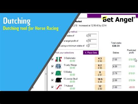 How To Use A Dutching Calculator On Betangel Bet Angel Academy