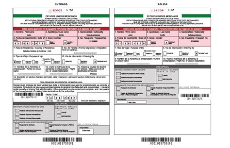 Printable Mexico Fmm Form English