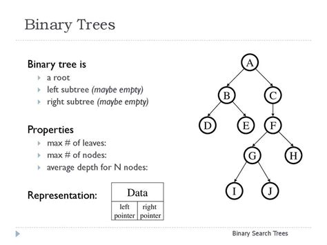 Create Stunning Binary Tree Diagrams With Our Maker