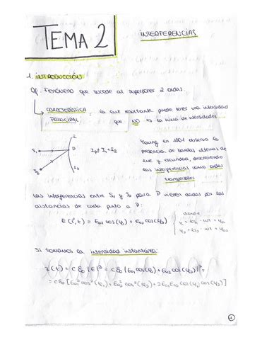 Tema 2 Interferencias Pdf