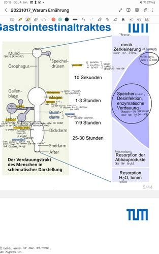 Warum Ernährung NEU Karteikarten Quizlet