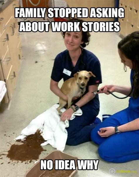 Pin By C Nicole On Veterinary Medicine Vet Tech Humor Veterinary