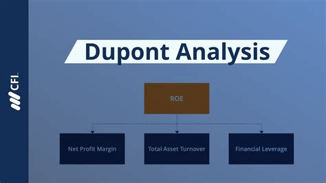 Dupont Analysis Chart