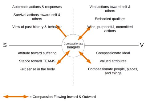 Cft Matrix Compassion Focused Therapy Matrix — Therapy Through The